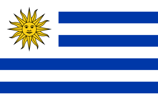 Patient Version SCHFI – Uruguay v6.2