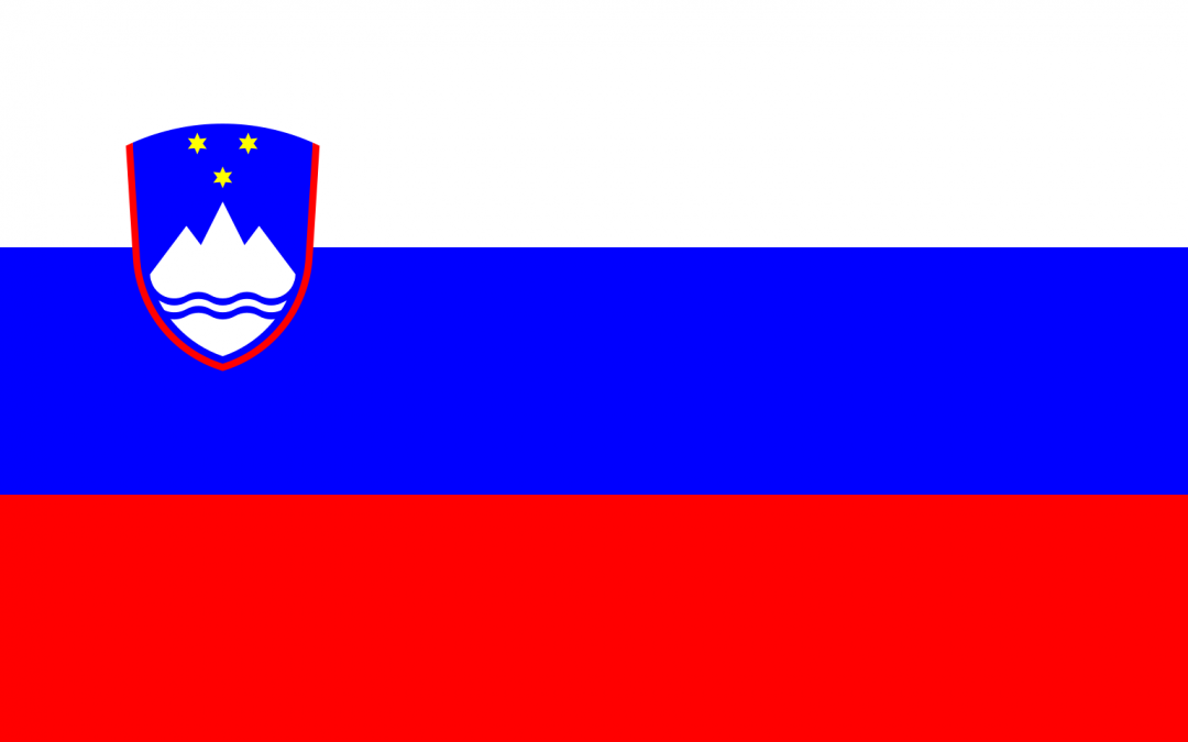 Patient Version SC-CHDI – Slovenian V3