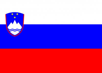 Patient Version SC-CHDI – Slovenian V3